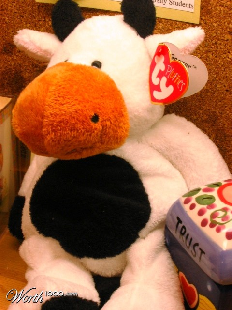 Photography by moobaby09