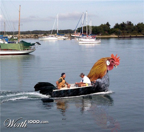 Photoshop Design by ozplasmic