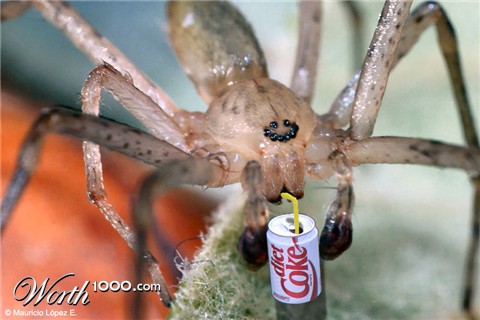 Photoshop Design by loekigizmo