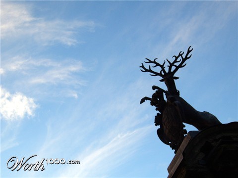 Photography by spoofmedia