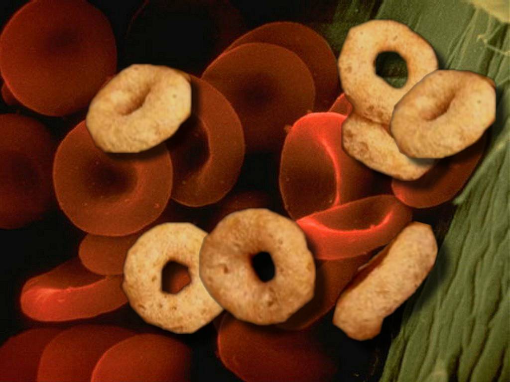 Photoshop Design by Supdog for DesignCrowd (Community Contests) | Design #9058390