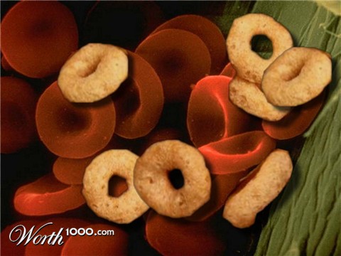 Photoshop Design by Supdog