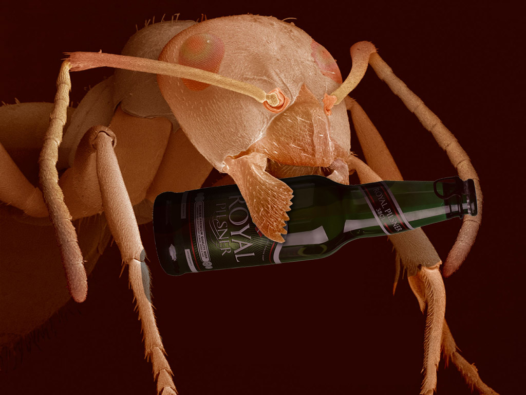 Photoshop Design by Emilarsen for DesignCrowd (Community Contests) | Design #9058431