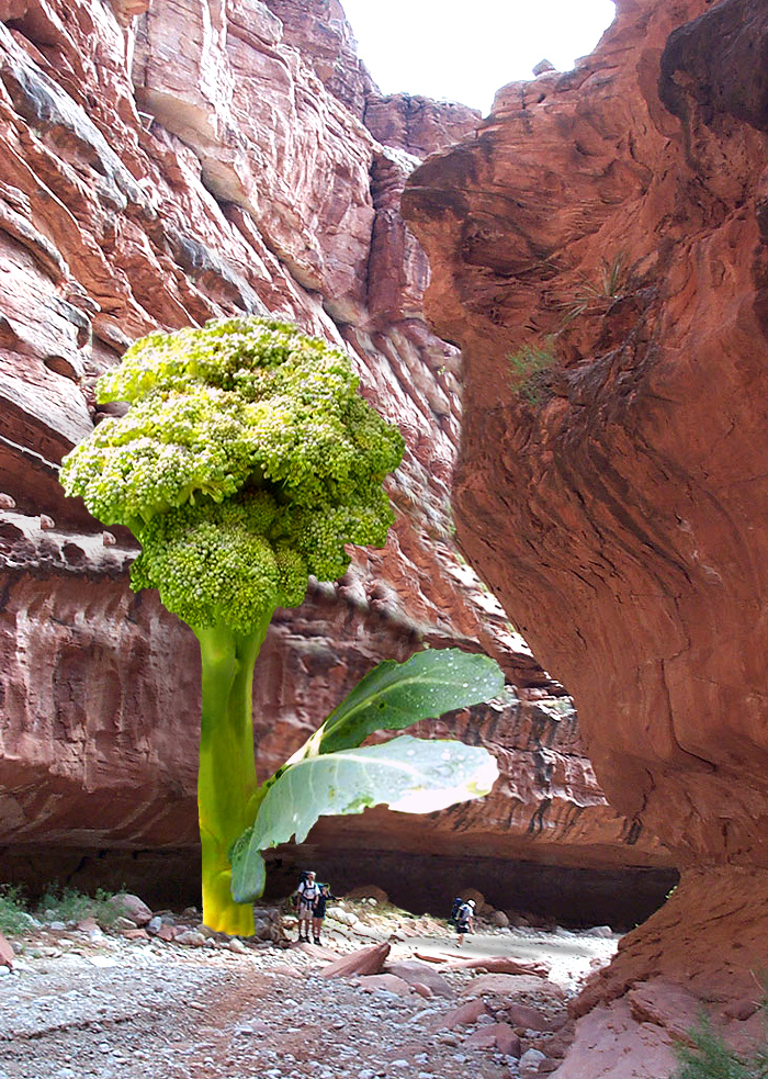 Photoshop Design by zaheersc for DesignCrowd (Community Contests) | Design #9058426