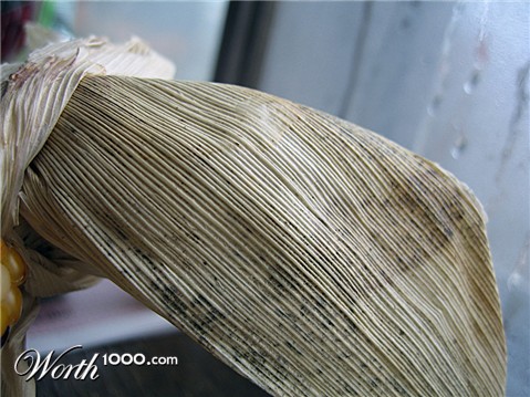 Photography by Klaser