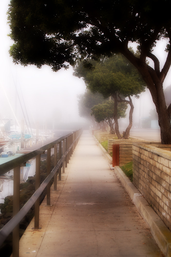 Photography by firebox-RococoRevivalist for DesignCrowd (Community Contests) | Design #9066314