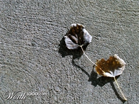 Photography by mmc9496