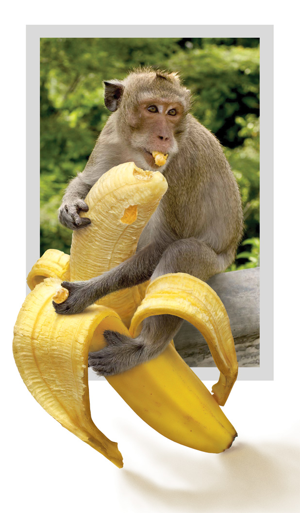 Photoshop Design by nilo111175 for DesignCrowd (Community Contests) | Design #9058513