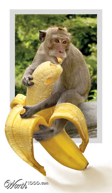 Photoshop Design by nilo111175