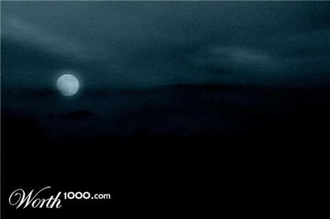Photography by ivanhoop