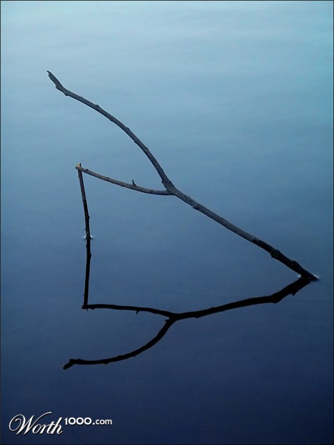 Photography by meerkat2