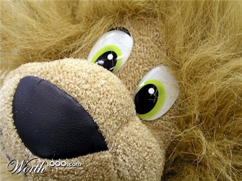 Photography by mzmzmzmz