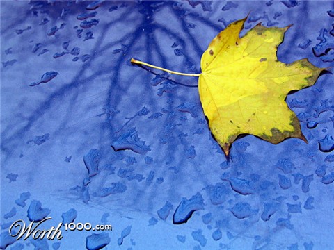 Photography by zygaya