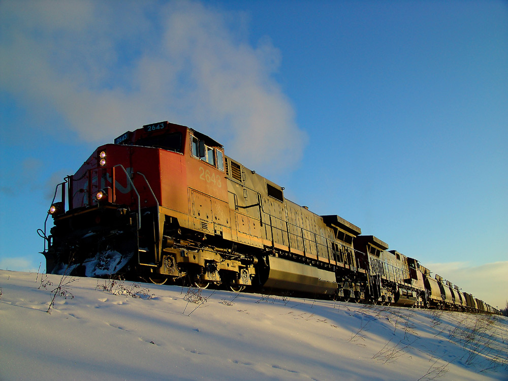 Photography by whlutz for DesignCrowd (Community Contests) | Design #9066279