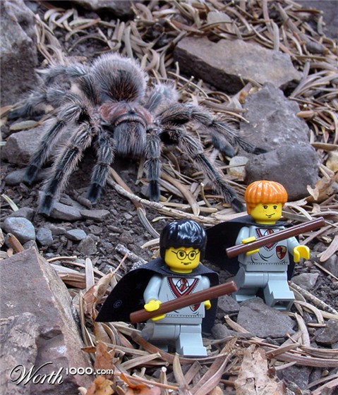 Photography by mysterio