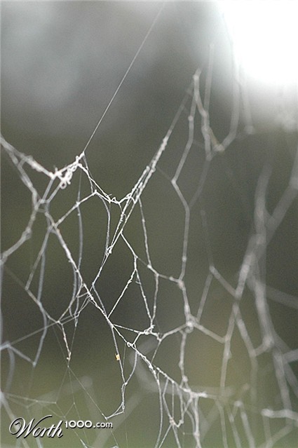 Photography by Ailsa45