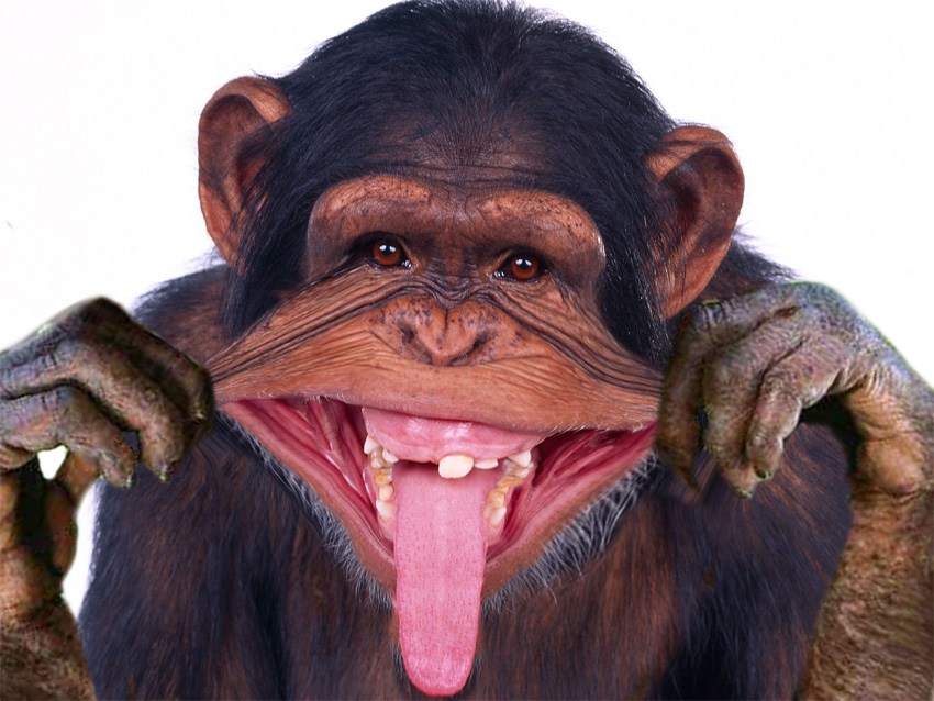 Photoshop Design by carthe for DesignCrowd (Community Contests) | Design #9058268