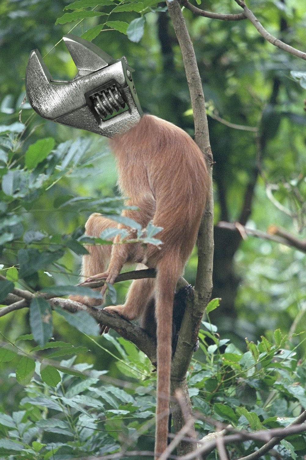 Photoshop Design by Demeno for DesignCrowd (Community Contests) | Design #9063337