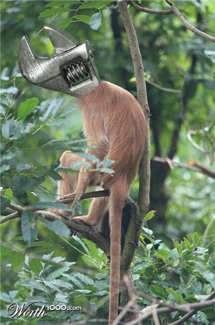 Photoshop Design by Demeno