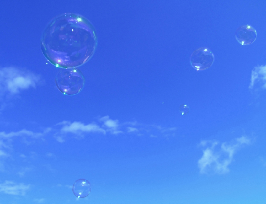 Fotografie von bobblainey für DesignCrowd (Community Contests) | Design #9059545