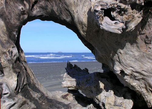 Photography by klxner for DesignCrowd (Community Contests) | Design #9074489