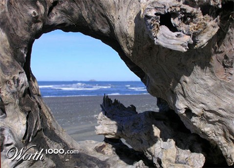 Photography by klxner