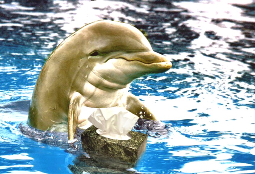 Photoshop Design by BruceLeePSP for DesignCrowd (Community Contests) | Design #9063381