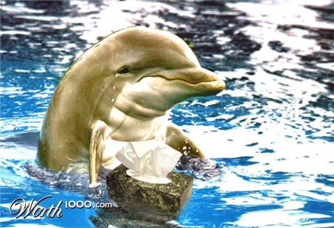 Photoshop Design by BruceLeePSP