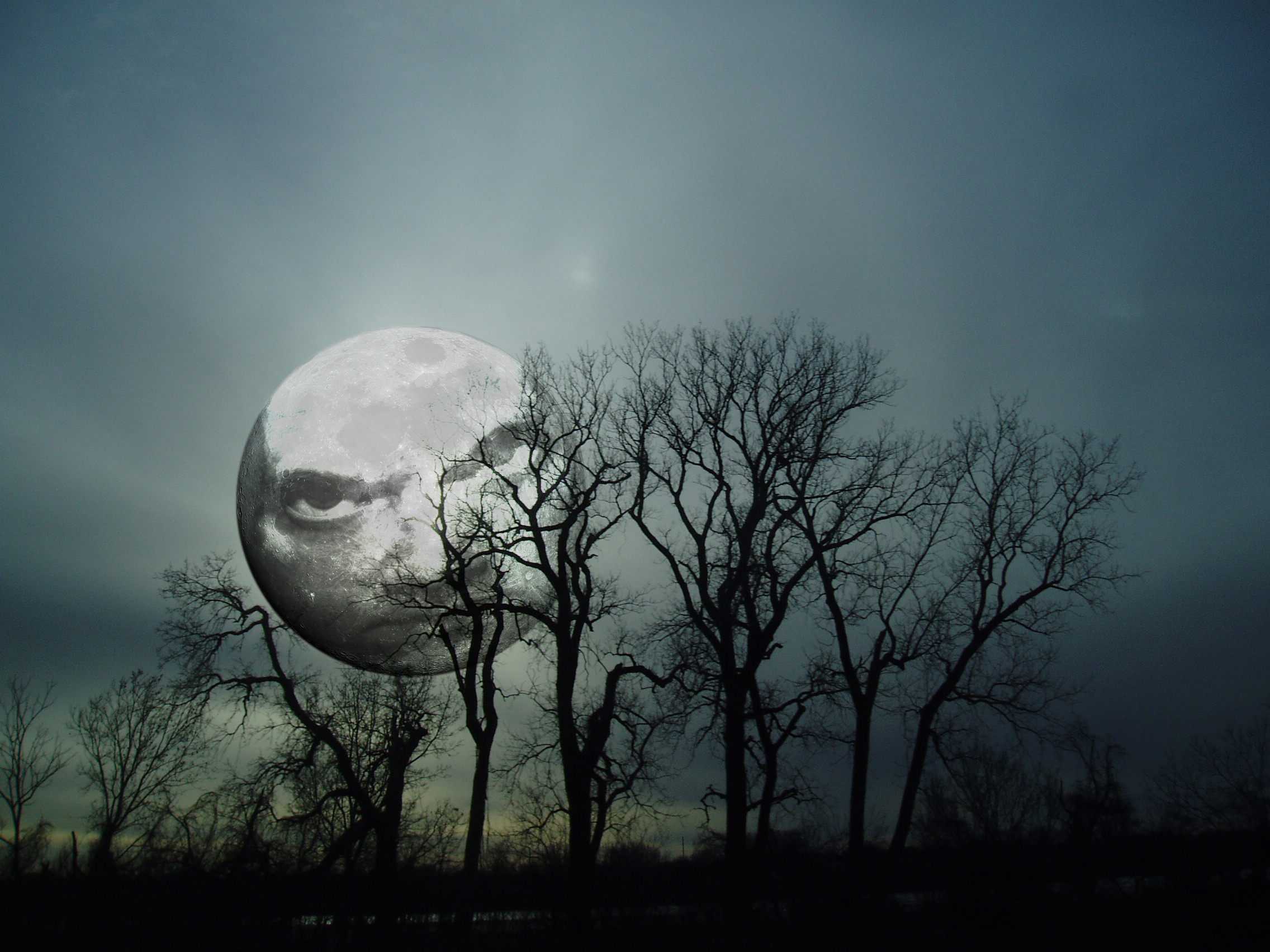 Photoshop-Design von robertg für DesignCrowd (Community Contests) | Design #9063374