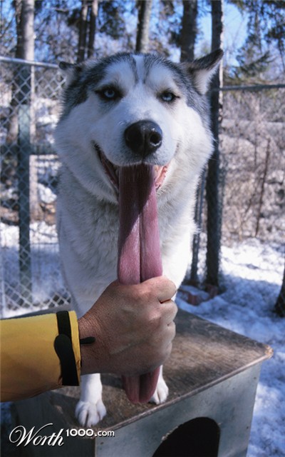 Photoshop Design by echoburst