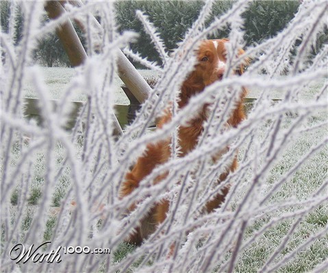 Photography by egonlinden