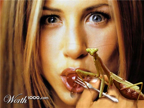 Photoshop Design by EyEars