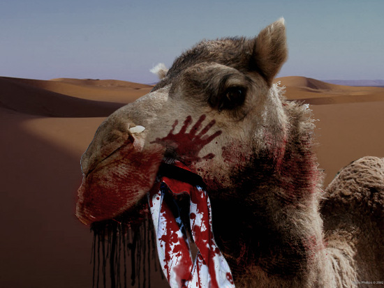 Photoshop-Design von ayoksus für DesignCrowd (Community Contests) | Design #9064111