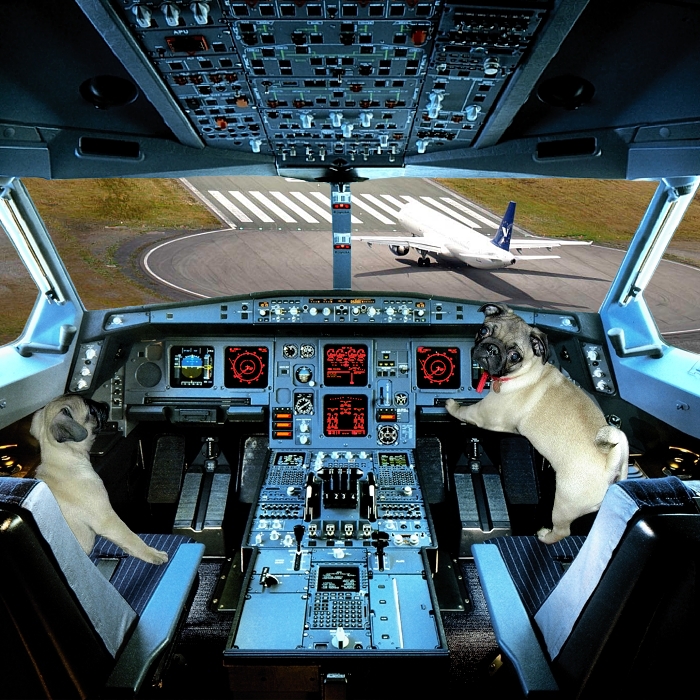 Photoshop Design by ekim1966 for DesignCrowd (Community Contests) | Design #9064094