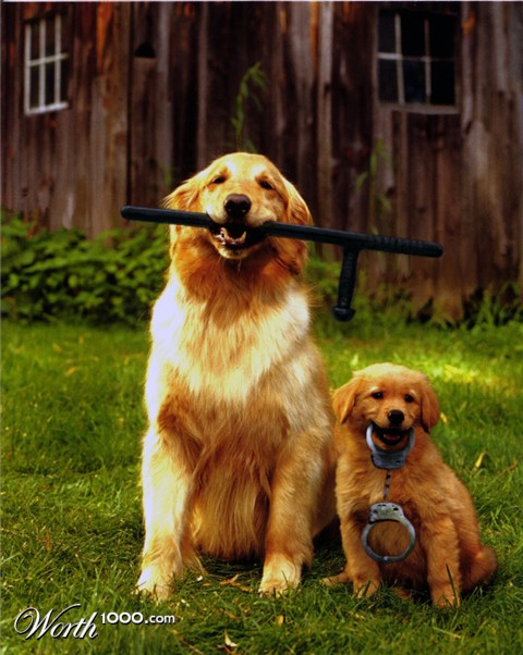 Photoshop Design by MrTom1