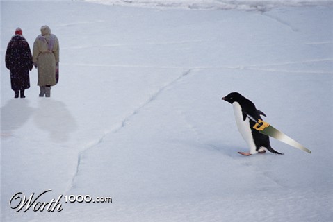 Photoshop Design by husambousaad