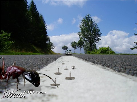 Photoshop Design by ThEShaDoW