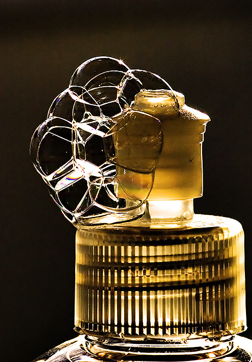 Photography by josephzl for DesignCrowd (Community Contests) | Design #9059577