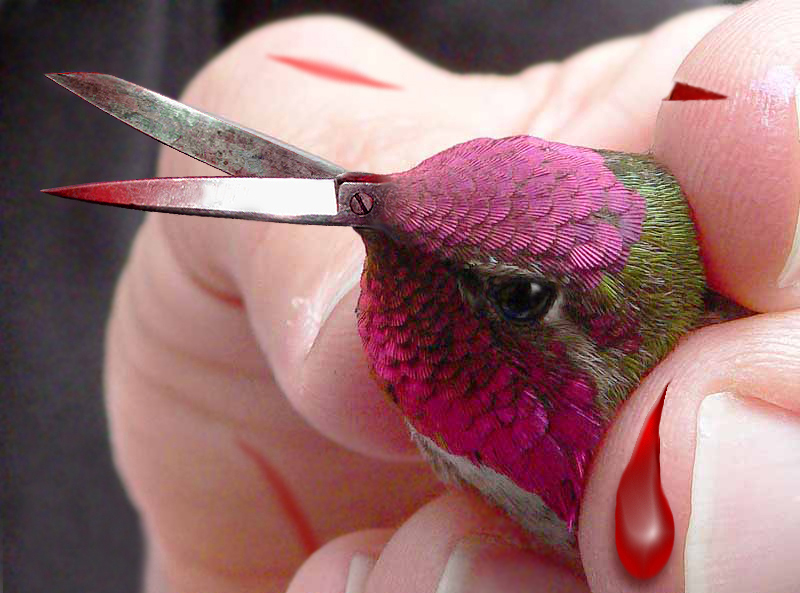 Photoshop Design by blueorb for DesignCrowd (Community Contests) | Design #9064130