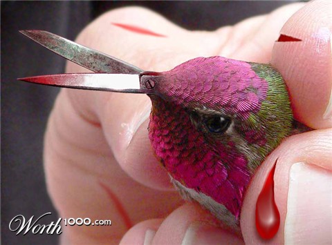 Photoshop Design by blueorb