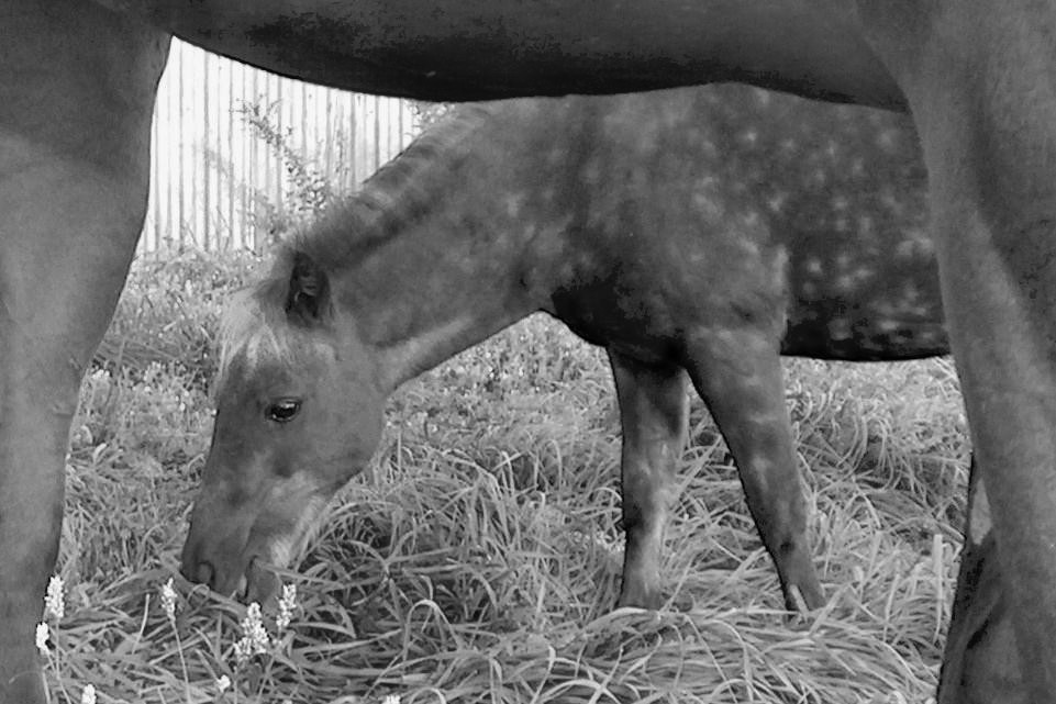 Photography by Kirsilouis for DesignCrowd (Community Contests) | Design #9074537