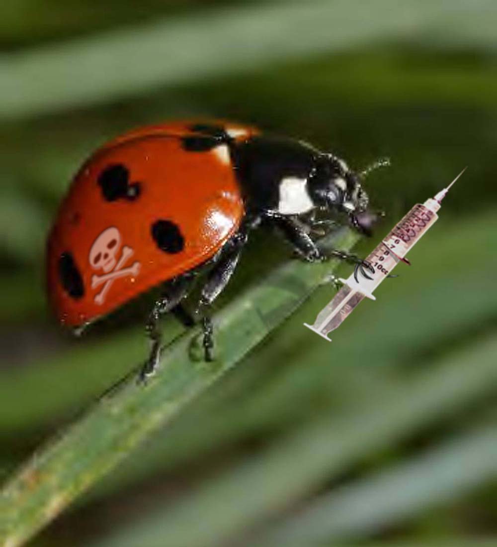 Photoshop Design by brypro63 for DesignCrowd (Community Contests) | Design #9064157