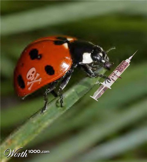 Photoshop Design by brypro63