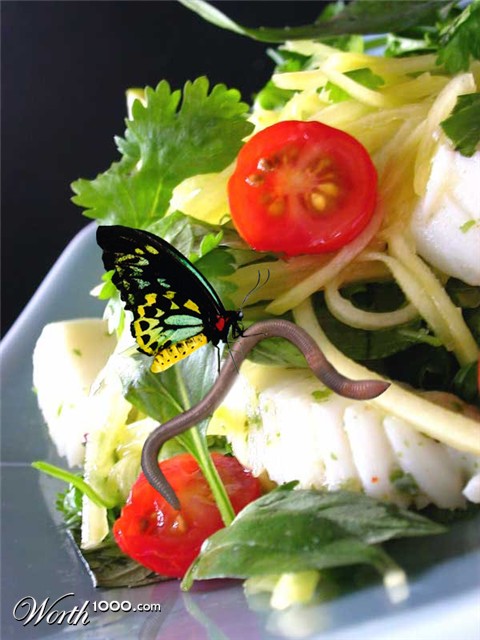 Photoshop Design by etirabys