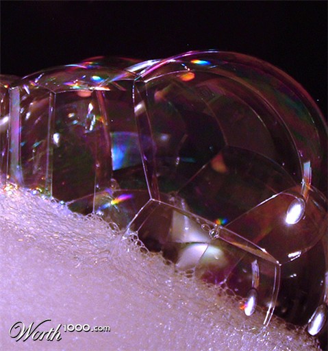 Photography by cameon