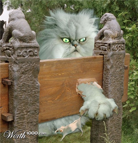 Photoshop Design by geldkobra