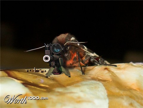 Photoshop Design by DennisL