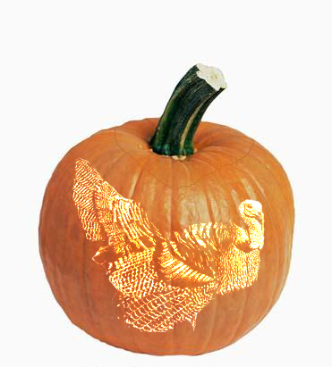 Photoshop Design by Rafreaky for DesignCrowd (Community Contests) | Design #9063959