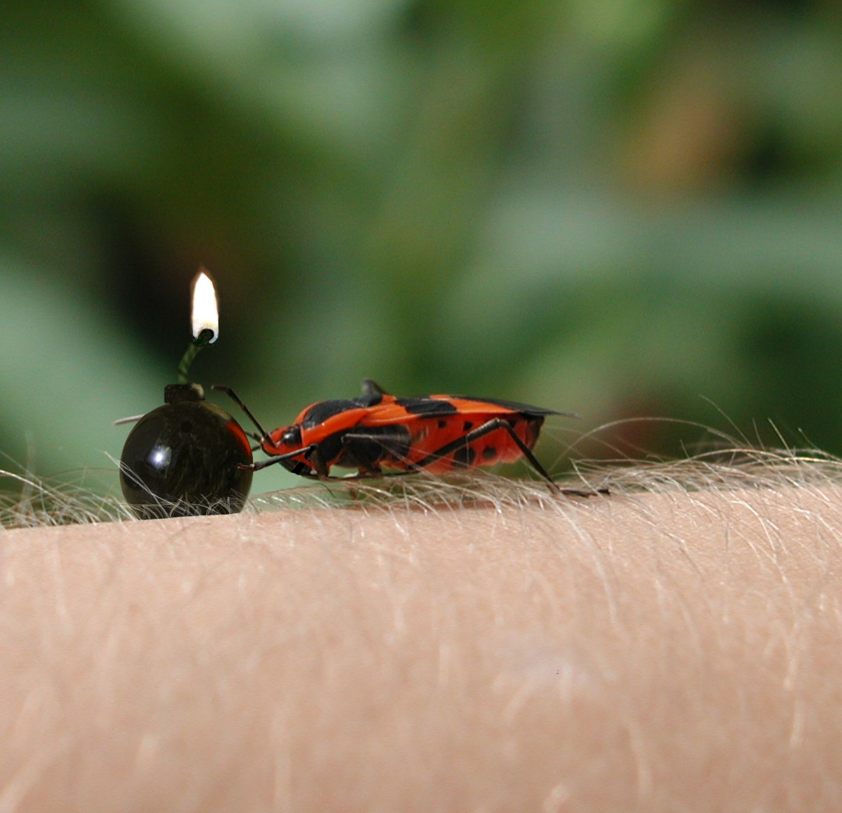 Diseño de Photoshop por my79spirit para DesignCrowd (Community Contests) | Diseño #9064314