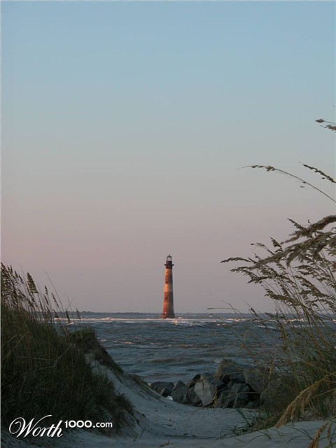 Photography by moxieshark